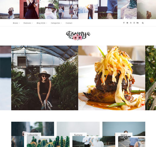 Atisomya - Clean & Personal WordPress Blog Theme