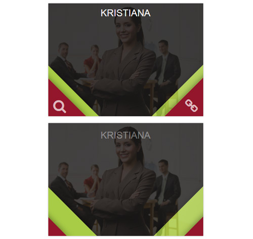 Hover Effect Style 149