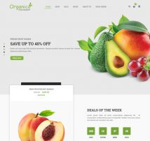 Organico - Fresh Fruits Responsive WooCommerce WordPress Theme
