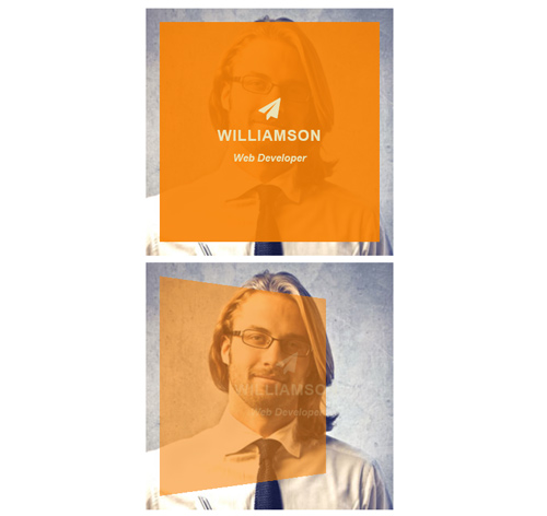 Hover Effect Style 157