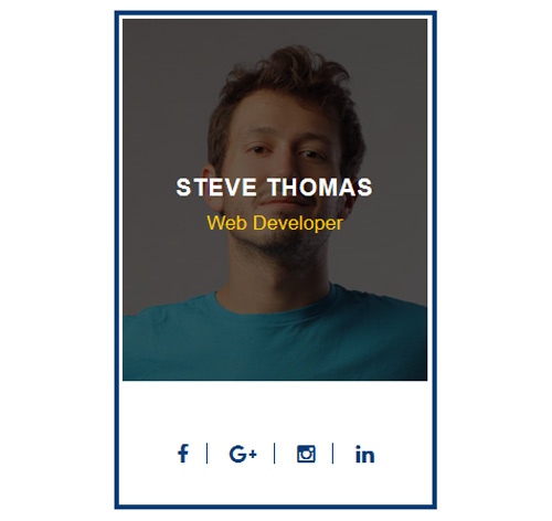 70+ Team Showcase Style in CSS with Demo