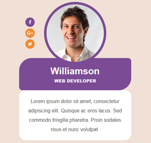 70+ Team Showcase Style in CSS with Demo