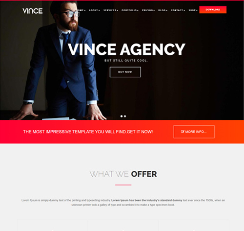 Vince Onepage & Multipages Business Drupal 8 Theme