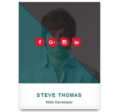 70+ Team Showcase Style in CSS with Demo