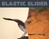 Elastic Slider : Animated Slider with SVG clip-path