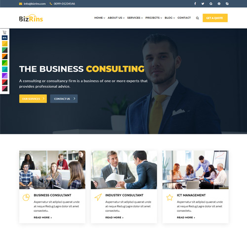 BizRins - Consultant Business WordPress Theme