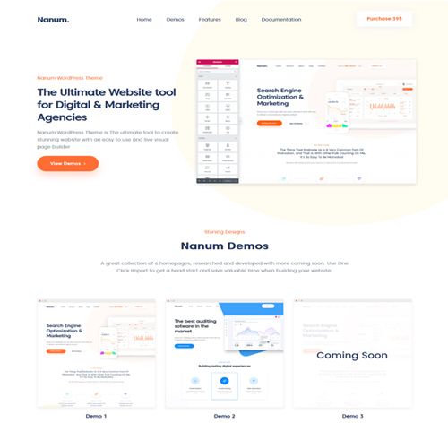 Nanum — Digital & Marketing Agency WordPress Theme