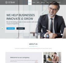 Stray - One Page Business Joomla Template