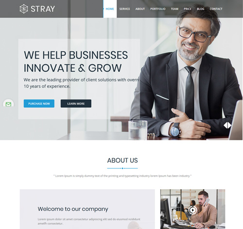 Stray - One Page Business Joomla Template