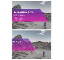 Hover Effect Style 247