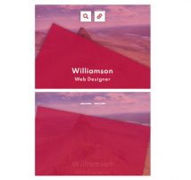 Hover Effect Style 265