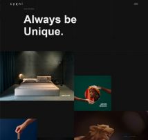 Cygni - Interactive Portfolio Showcase Theme