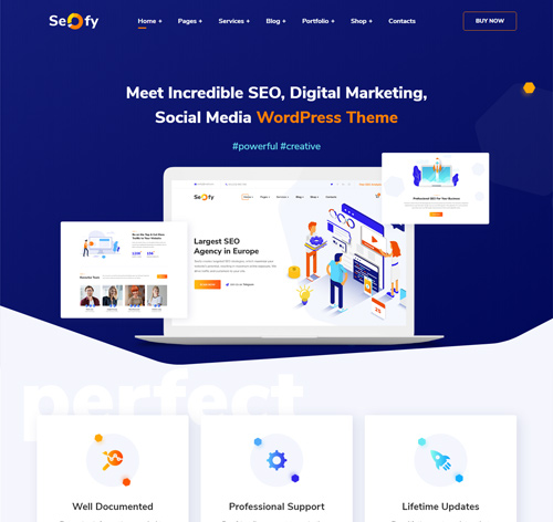 Seofy - Digital & Marketing WordPress Theme