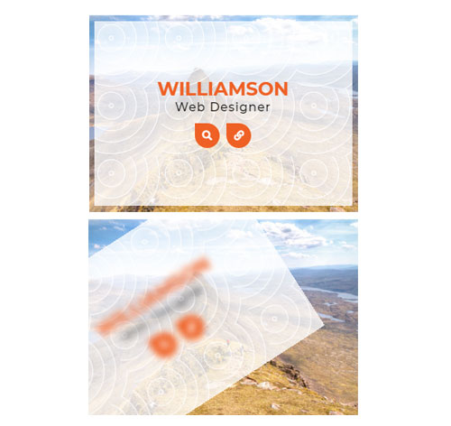 Hover Effect Style 291