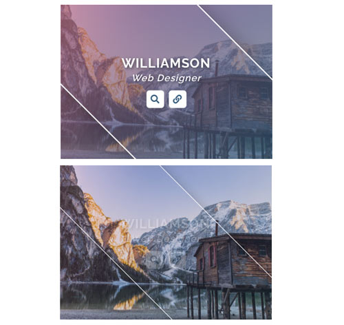 Hover Effect Style 313