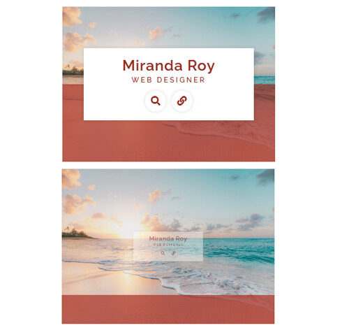 Hover Effect Style 346