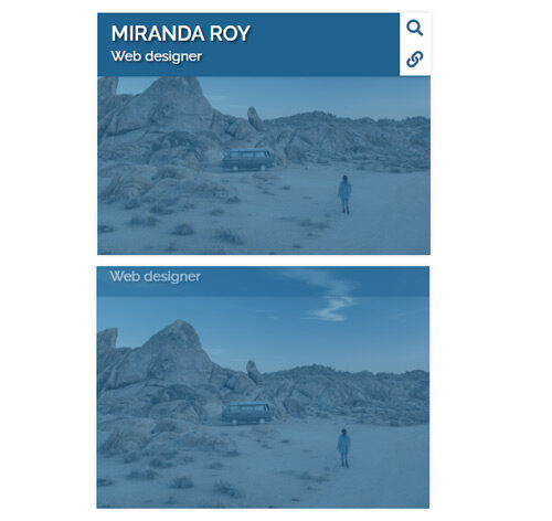 Hover Effect Style 353