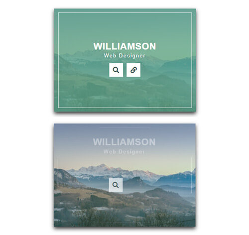 Hover Effect Style 372