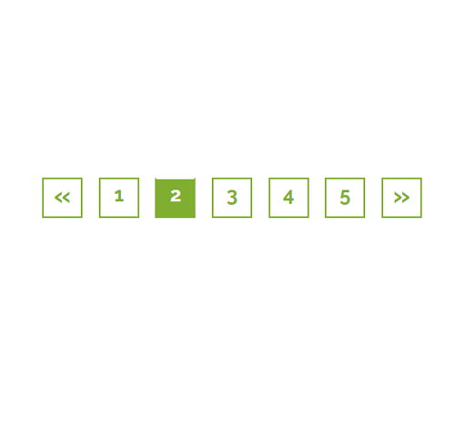 Pagination Style 215