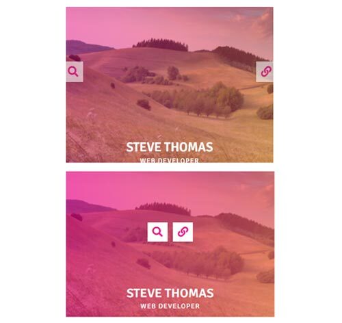 Hover Effect Style 405