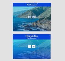 Hover Effect Style 410