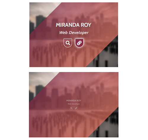 Hover Effect Style 424